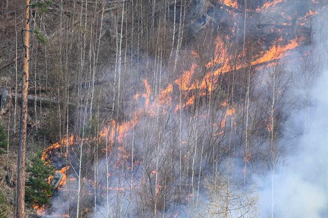 Foto: zeitungsfoto.at