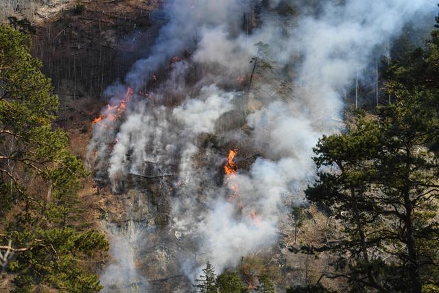 Foto: zeitungsfoto.at