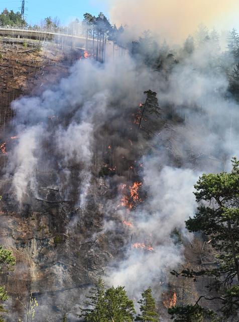 Foto: zeitungsfoto.at