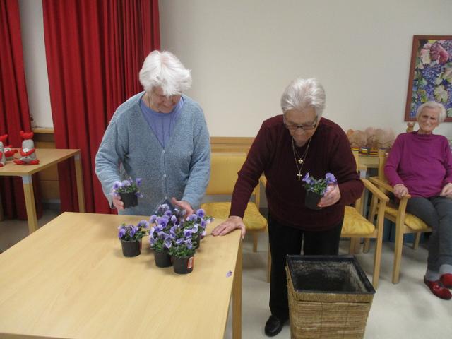 Die Bewohner setzen gemeinsam Blumen ein um das Pflegekompetenzzentrum Frühlingsfit zu machen | Foto: PKZ Drassburg