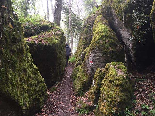 Waldspaziergang zum Felsenkloster und der Basilika