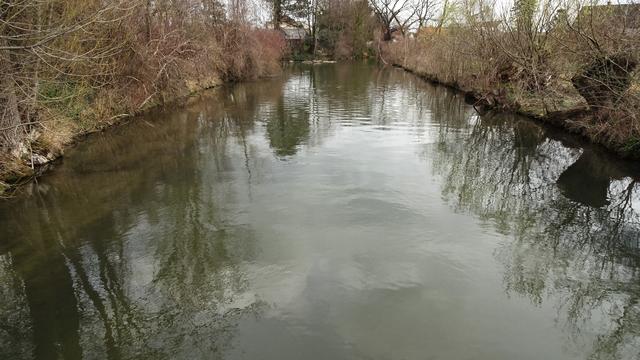Der Lauf der Piesting ortseinwärts, ... rechts vorne die erste Mündung in die Fischa, ... in der Mitte der mögliche Nutriabau! ...