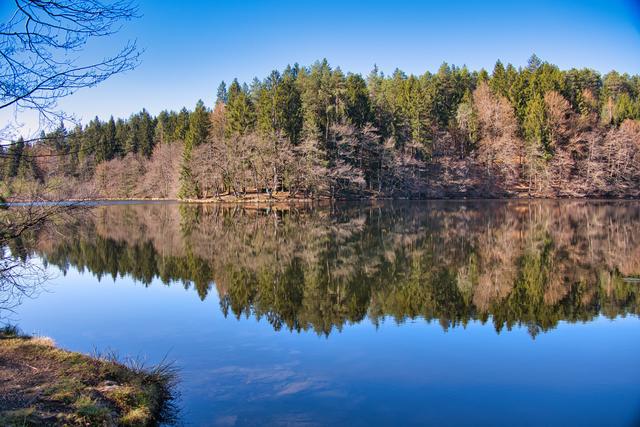 Spintikteich: Spaziergänge in der Natur sind erlaubt und geben Kraft.