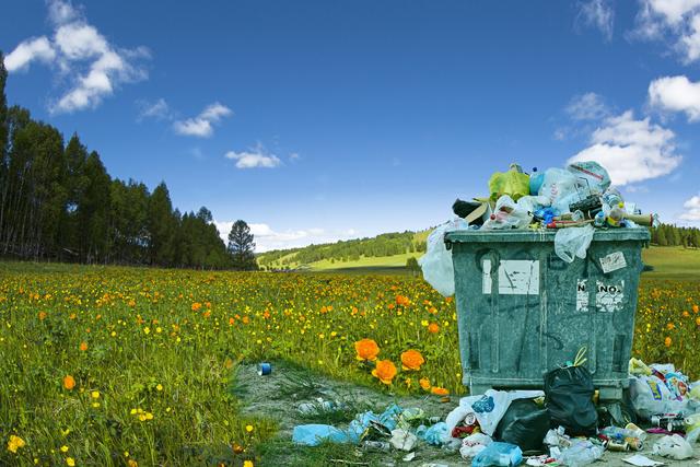 Der Wald ist keine Mülldeponie. Recyclinghöfe eingeschränkt geöffnet.  | Foto: Symbolfoto: pixaby_pete_linforth