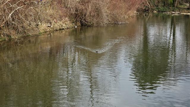 Ein Stück weiter flussabwärts ...