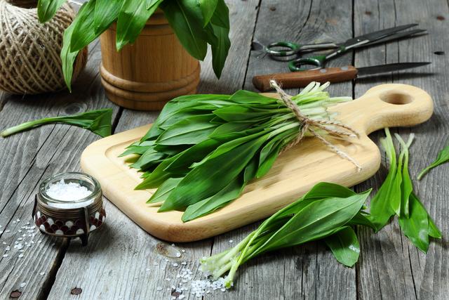 Bärlauch ist das Frühlingsgewürz aus dem Wald mit Knoblaucharoma.