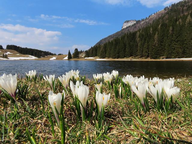 Frühlings wird´ s am Seewaldsee. Leider besteht durch die Trockenheit auch eine erhöhte Gefahr von Wald- und Flurbränden.