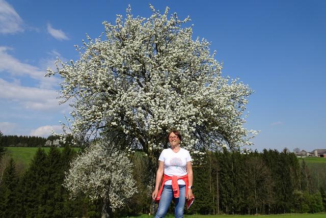 Gigi vor einem aufgeblühten Birnbaum
