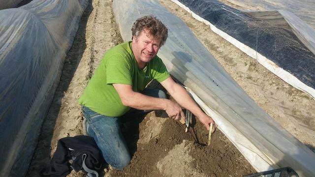 Am Spargel- und Biohof von Josef Berner in Eferding sind Familienmitglieder und Freunde eingesprungen, um die fehlenden Arbeitskräfte zu ersetzen. | Foto: Biohof Berner