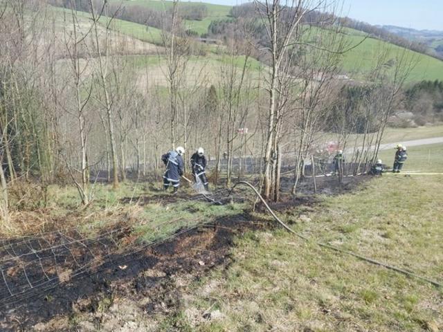 Im Kendlgraben standen einige Bäume in Brand.