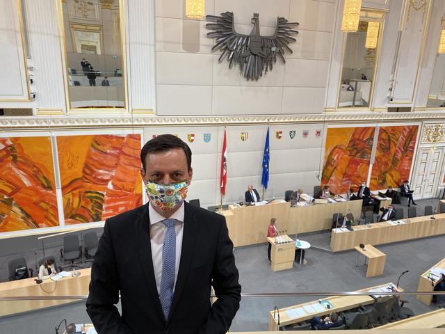 Nationalrat Ernst Gödl mit Mundschutz im Nationalratssitzungssaal in der Wiener Hofburg | Foto: KK