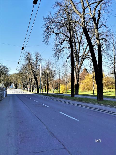 Verkehrs-Tiefschlaf am Opernring: Wenn Graz allerdings wieder erwacht, ist für eine klimafreundliche Zukunft jeder Einzelne gefragt.