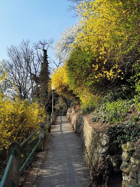 Frühling in Graz 2020