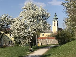 Sankt peter in der au markt partnersuche online, Hohenzell single mnner. Neumarkt am Steinhaus partnersuche bezirk. Single date waldneukirchen. Sankt peter in der au markt partnersuche online