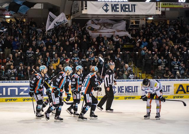 Die Querelen rund um Black Wings-Präsident Freunschlag sorgten für die Neugründung eines Linzer Eishockeyklubs, hinter dem der Großteil der bisherigen Black Wings-Funktionäre und -Unterstützer steht.  | Foto: BWL/Eisenbauer