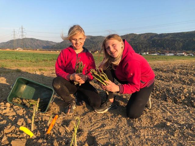 Hellena und Emelie Matschnig helfen mit