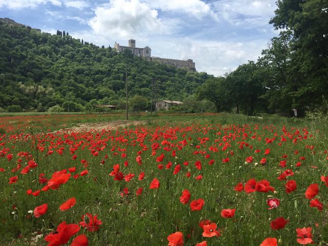 Assisi in Sicht