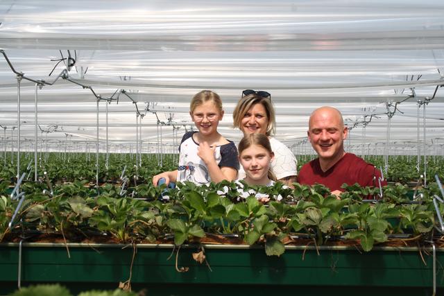 Erdbeeren im Hochbeet: Bequem zu pflücken