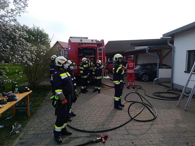 Foto: Steinwendter