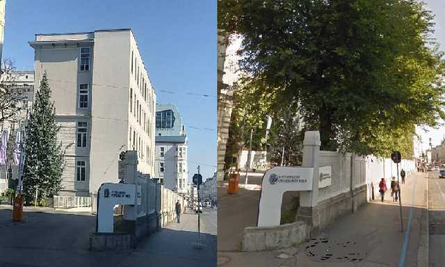 16 Bäume wurden gefällt.﻿ Das AKH versichert aber, dass so bald wie möglich neue gepflanzt werden. | Foto: Grüne Alsergrund