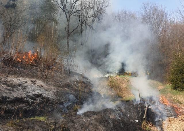 Foto: BFVMZ / FF Wartberg