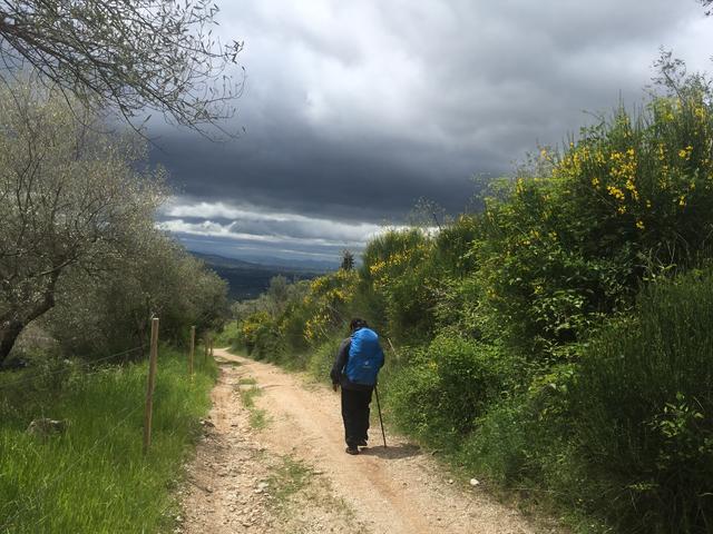 Gewitterwolken ziehen heran