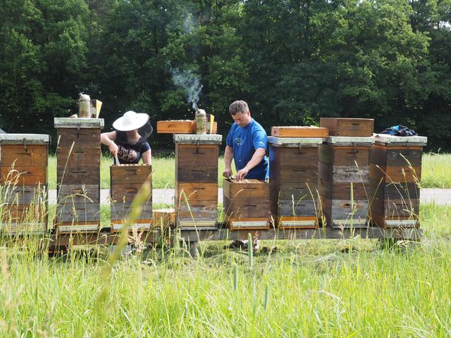 Arbeiten an den völlig styroporfreien Bienenstöcken der LFS Warth. | Foto: Karl Stückler