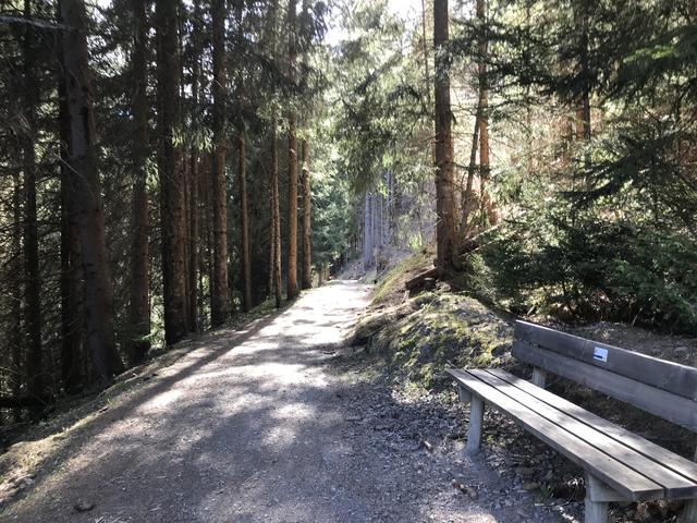 Das schöne Wetter nutzen und mit einem Spaziergang etwas Abwechslung in den Tag bringen.