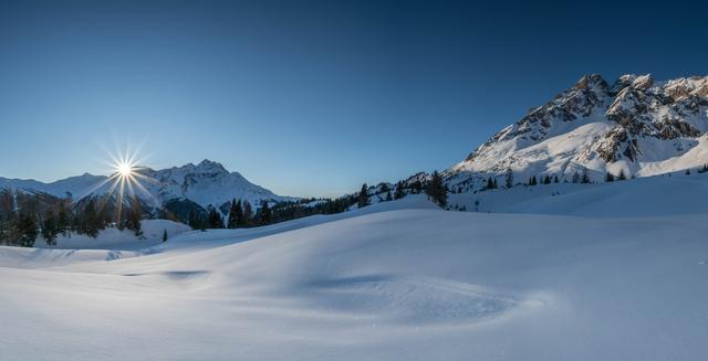 Bild 02: Schimpfössl Matthias - "Dawin" - 10 Punkte | Foto: © by Schimpfössl Matthias