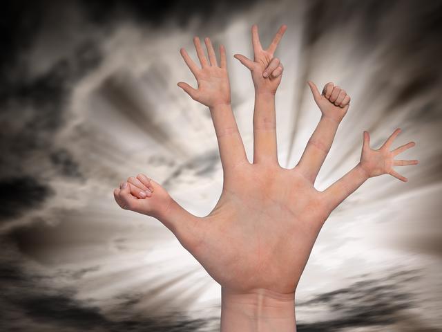 Bild 09: Ing. Härting Siegfried - "Sonnenschutz" - 12 Punkte | Foto: © by Ing. Härting Siegfried