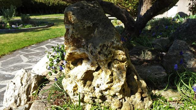 ... eigentlich ansonst nur ein Felsen ist! ... ;-)))