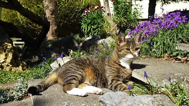 ... wird gut bewacht! ... ;-))) ...