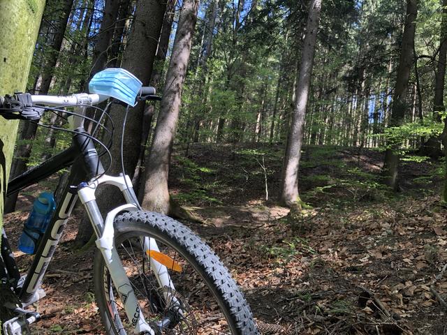 Die Beunruhigung der Tiere im Wald nimmt durch Sportler und Spaziergänger abseits der Wege stark zu.