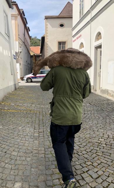 Tierische Rettung