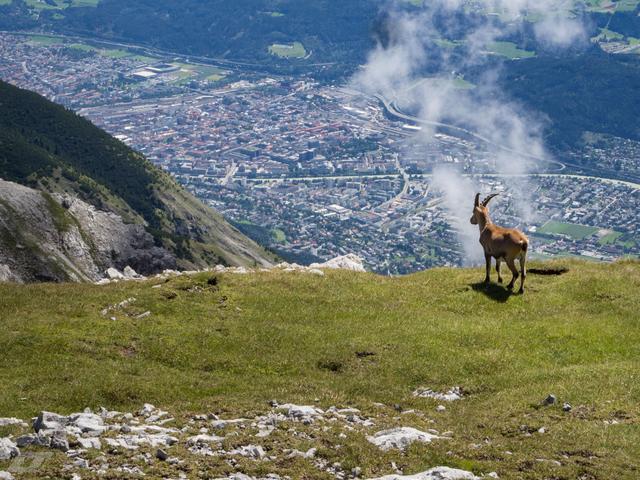 Bis 1. Juni können Filmschaffende ihre Werke zum Thema Natur und Umwelt einreichen.