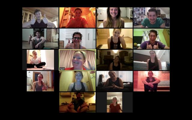 Online-Seminar Teilnehmer | Foto: Daniela Hinteregger