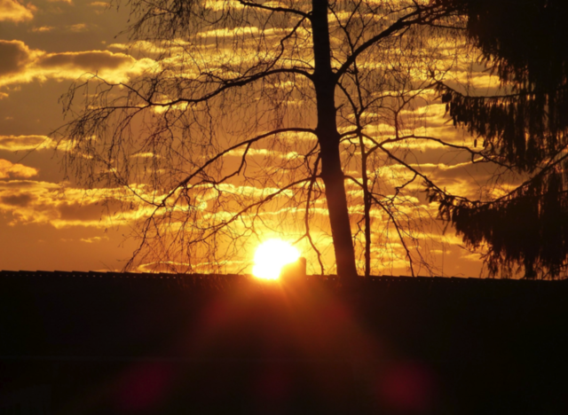 Ostermorgen,wende dein Gesicht der Sonne zu,dann fallen die Schatten hinter dich! von Elfriede Eder
