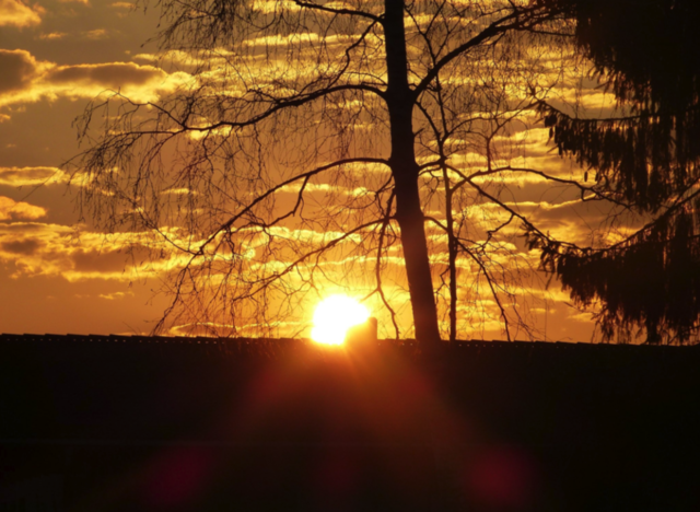 Ostermorgen,wende dein Gesicht der Sonne zu,dann fallen die Schatten hinter dich! von Elfriede Eder | Foto: Elfriede Eder