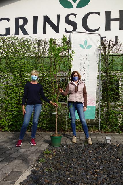 Großer Dank gilt der Baumschule Grinschgl die aufgrund der Sicherheitsmaßnahmen die Baumausgabe für den Naturpark Südsteiermark übernommen hat.
