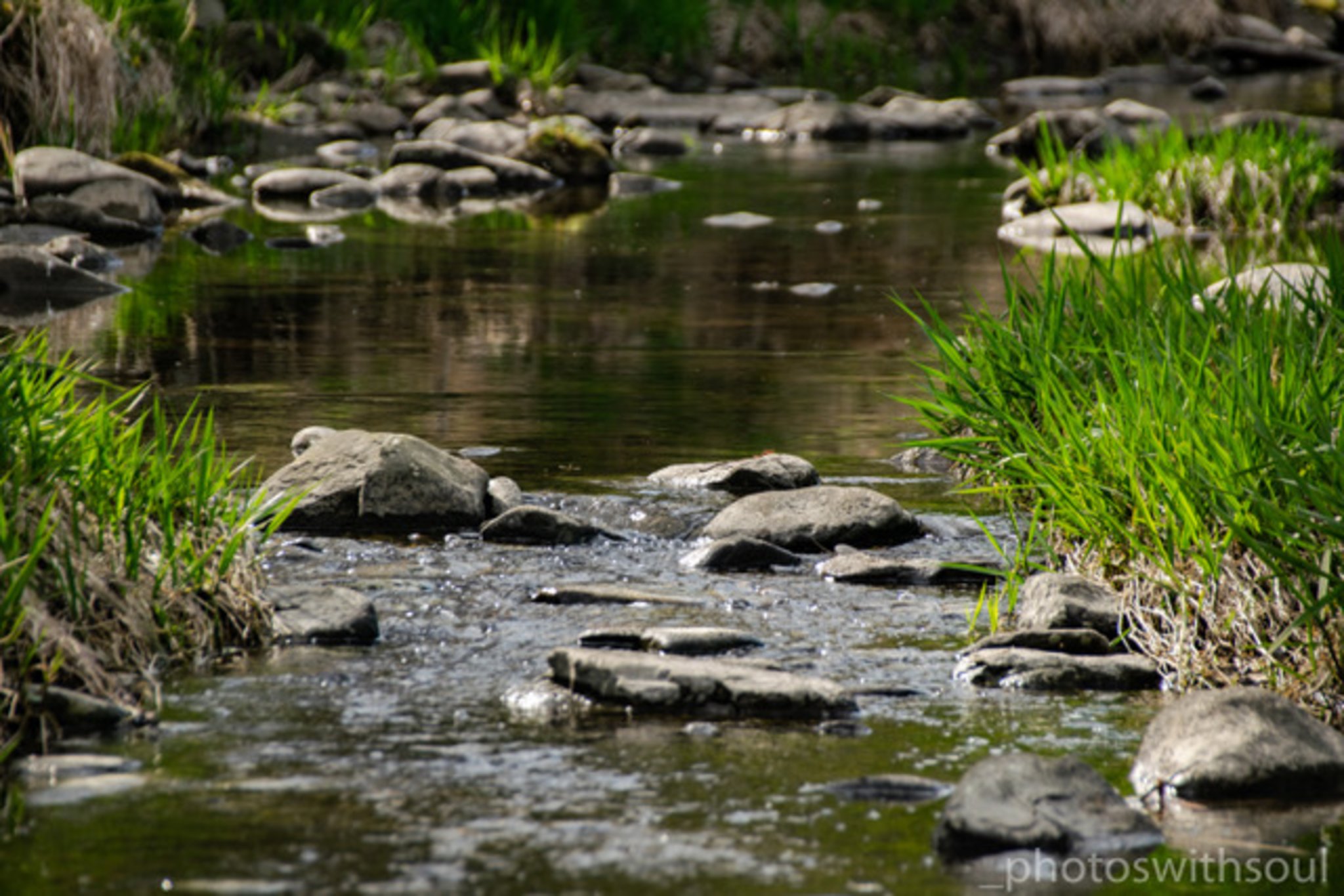 Flusserie letzter Teil Alles im Fluss Große Krems und was sonst durch