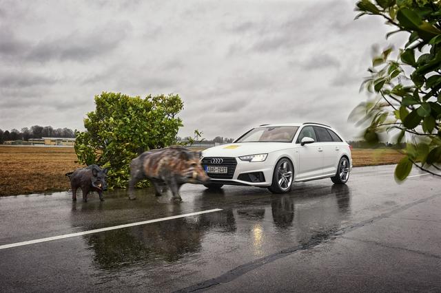 Crashtest mit einem Wildschwein-Dummy. | Foto: Uwe Rattay