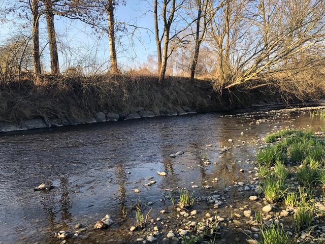 Die Leitha in Wasenbruck | Foto: Sommer