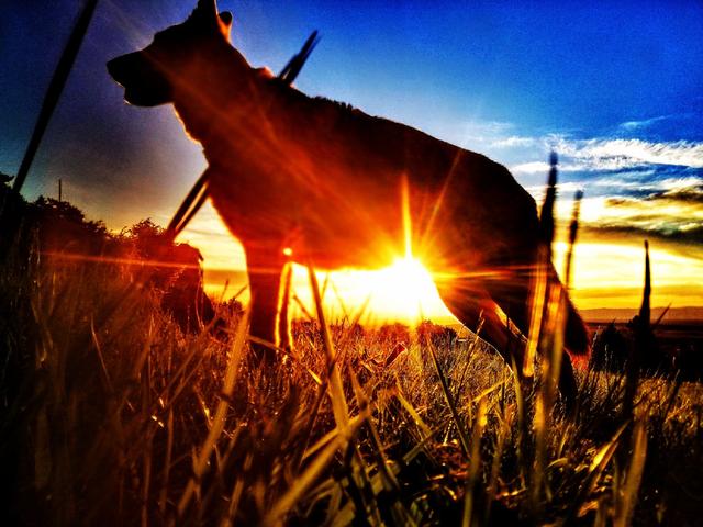 Traumhafte Morgenstimmung