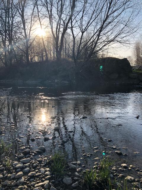 Die Sonne spiegelt sich in der Leitha. | Foto: Sommer