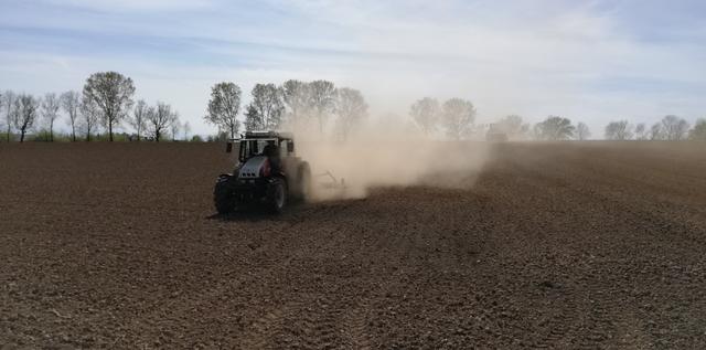 Bleibt es weiterhin so trocken, könnte das auch gravierende Folgen für die Landwirtschaft in der Region haben.  | Foto: Helmut Feitzlmayr