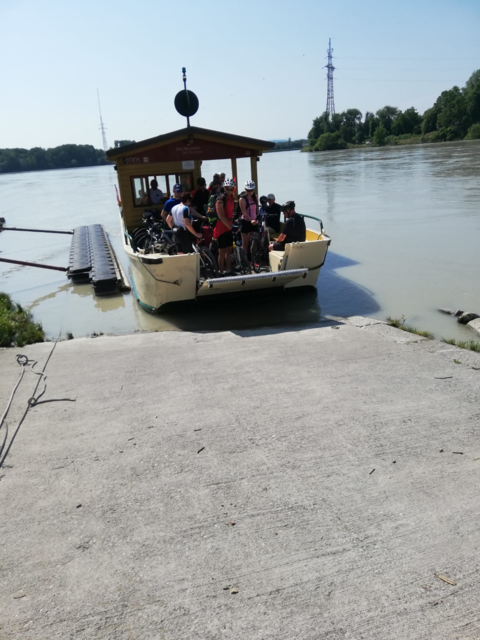 Donauradfähre Ennsegg | Foto: TV Enns