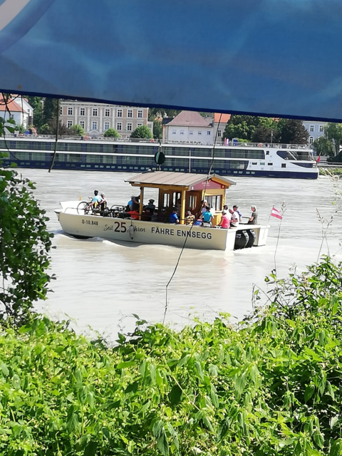 24000 Personen transportiert die Donauradfähre jährlich zwischen Enns und Mauthausen | Foto: TV Enns