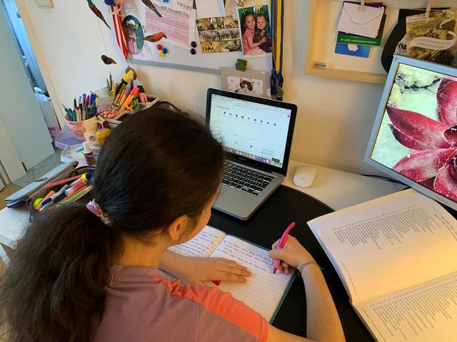Distance Learning, Erarbeiten des Unterrichtsstoffs zu Hause, soll bald ein Ende haben. | Foto: privat