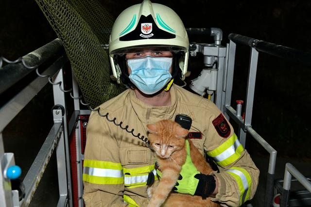 Wattens Feuerwehrmann Daniel Gangl gelang es Simba einzufangen.  | Foto: ZOOM.TIROL
