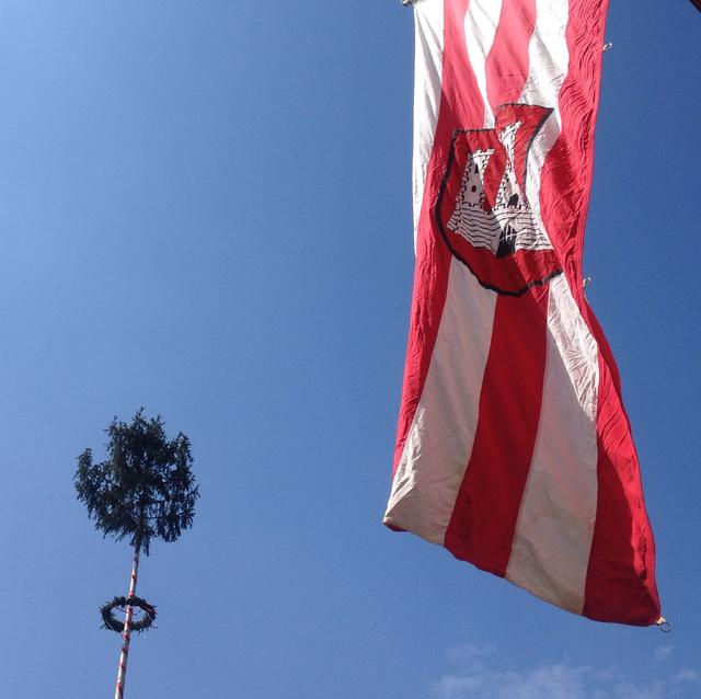Der Mai soll in Klosterneuburg nicht ohne Baum beginnen – auf dem Rathausplatz wird ein 25 Meter hohes, von den Stadtgärtnern geschmücktes Exemplar Dienst versehen | Foto: Stadtgemeinde Klosterneuburg/SchuhE